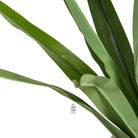 Artificial Yucca Tree 150 Cm Luxury Casa