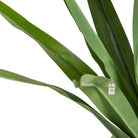 Artificial Yucca Tree 150 Cm Luxury Casa