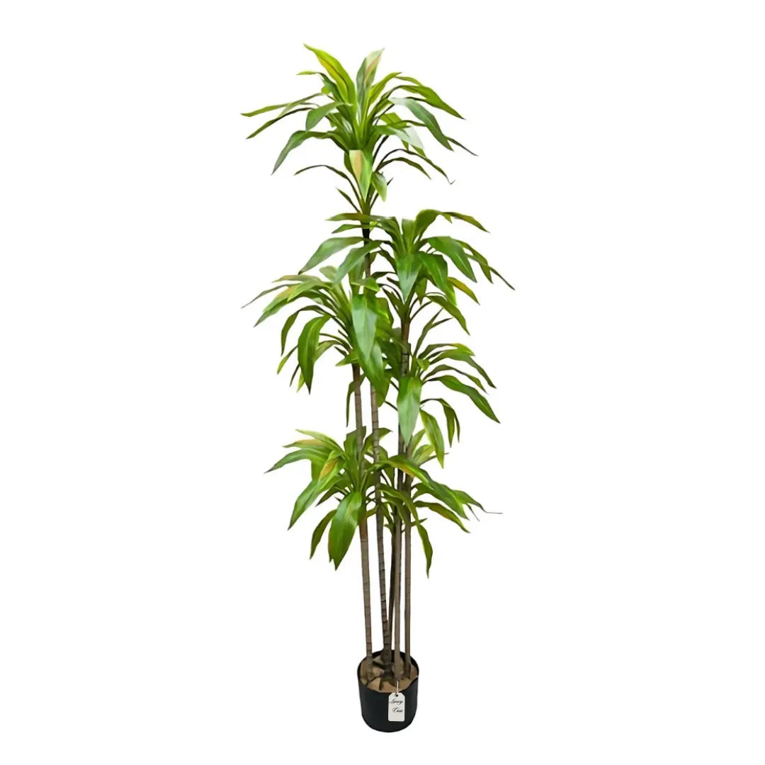 Artificial Yucca Tree 170 Cm Luxury Casa