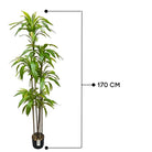 Artificial Yucca Tree 170 Cm Luxury Casa