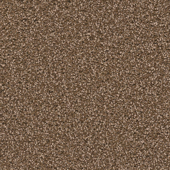 Blockbuster Plus Carpet Roll – AED 69 per m²