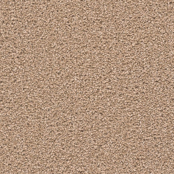 Blockbuster Plus Carpet Roll – AED 69 per m²