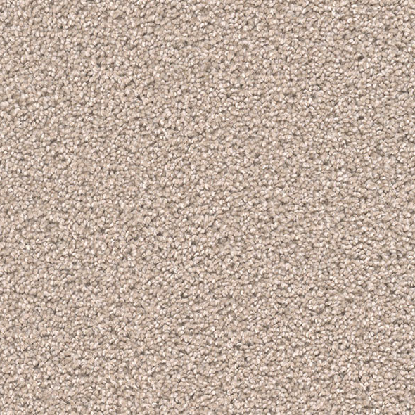 Blockbuster Plus Carpet Roll – AED 69 per m²