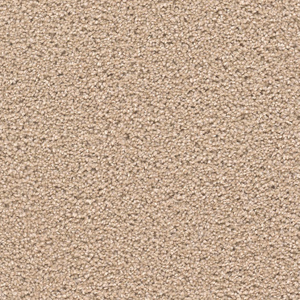 Blockbuster Plus Carpet Roll – AED 69 per m²