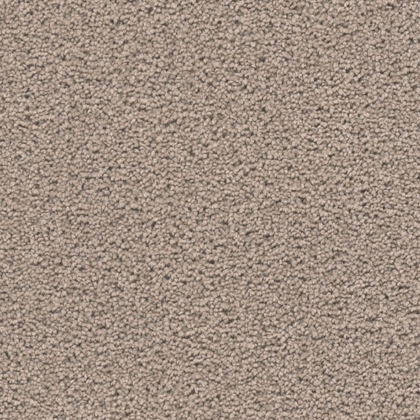 Blockbuster Plus Carpet Roll – AED 69 per m²