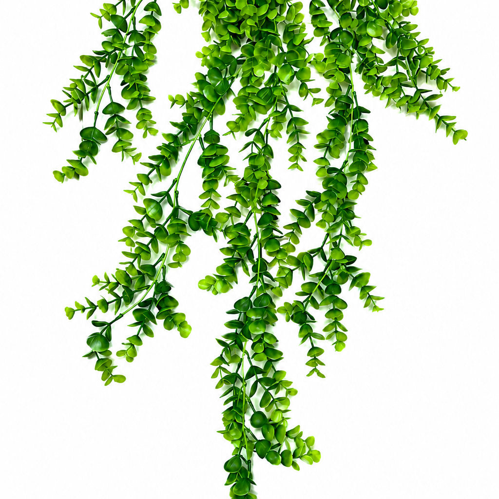 Artificial Hanging Peperomia Vine Bush
