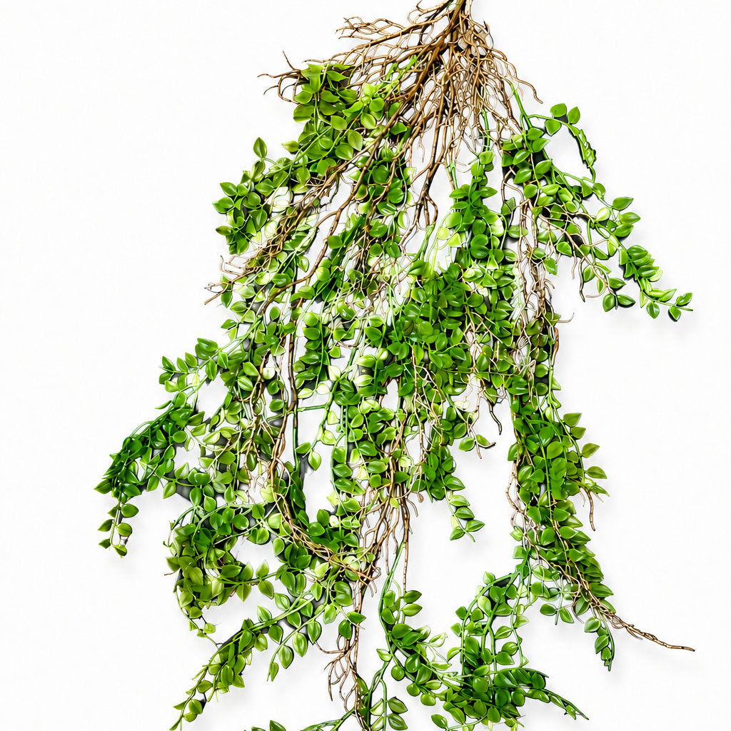 Artificial Hanging Dischidia Vine with Root Detail