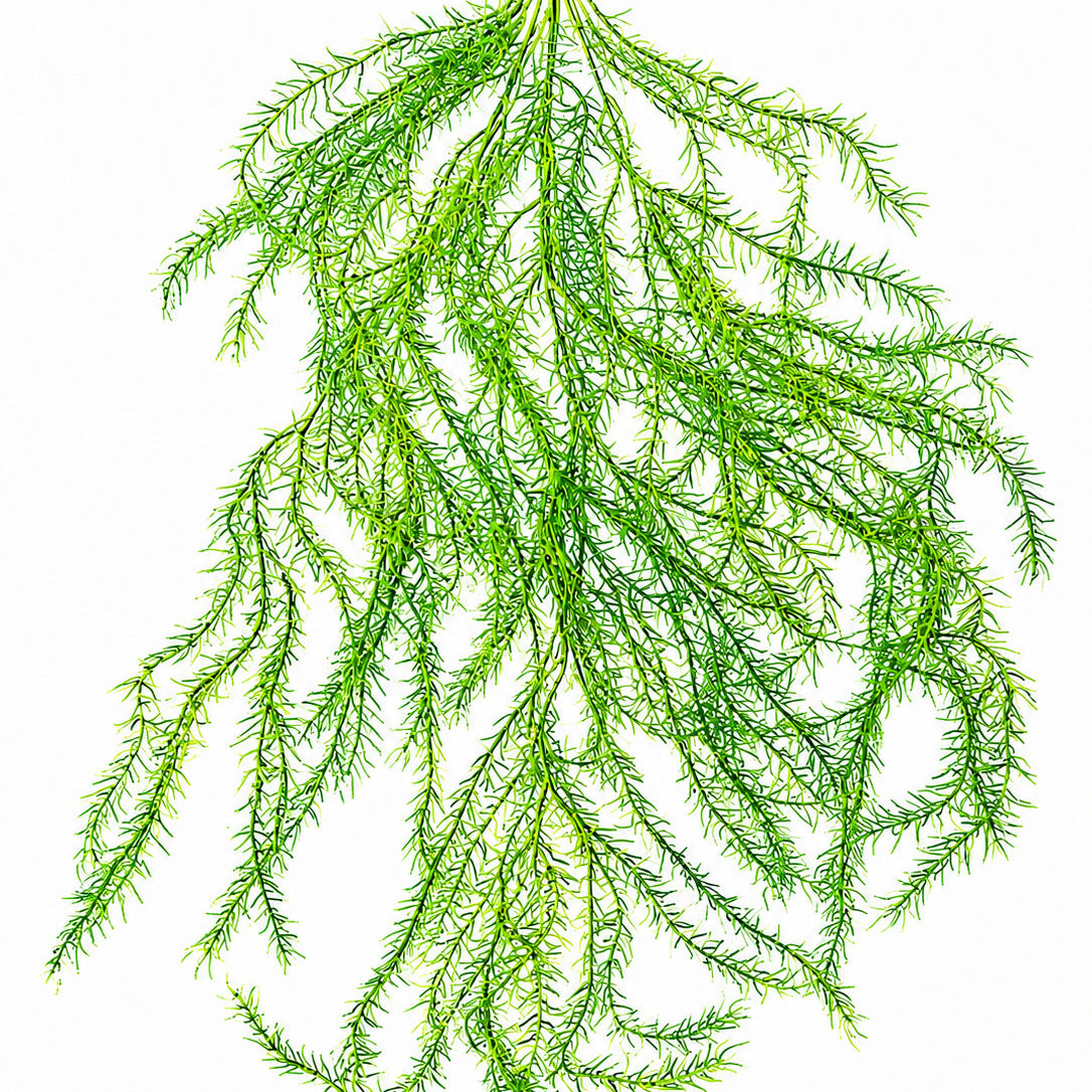 Artificial Hanging Asparagus Fern Vine Bush