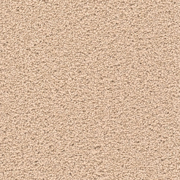 Blockbuster Plus Carpet Roll – AED 69 per m²