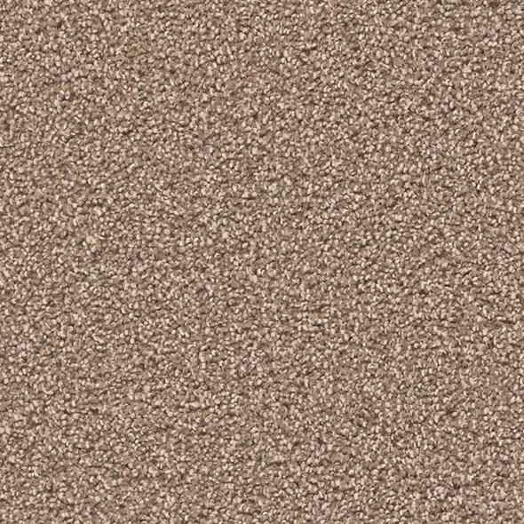 Blockbuster Plus Carpet Roll – AED 69 per m²