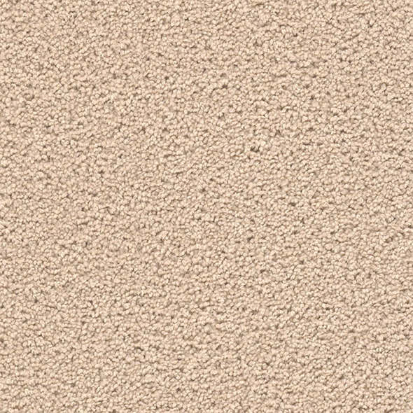 Blockbuster Plus Carpet Roll – AED 69 per m²