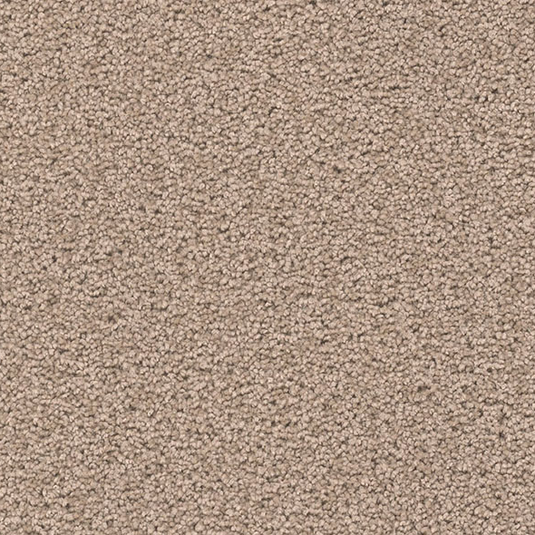 Blockbuster Plus Carpet Roll – AED 69 per m²