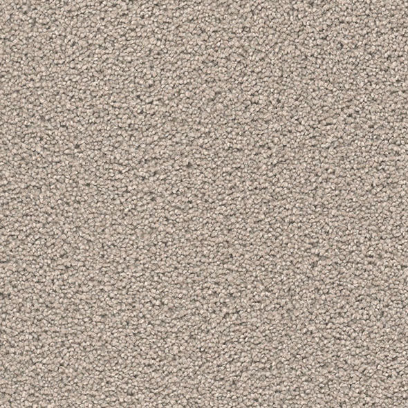 Blockbuster Plus Carpet Roll – AED 69 per m²