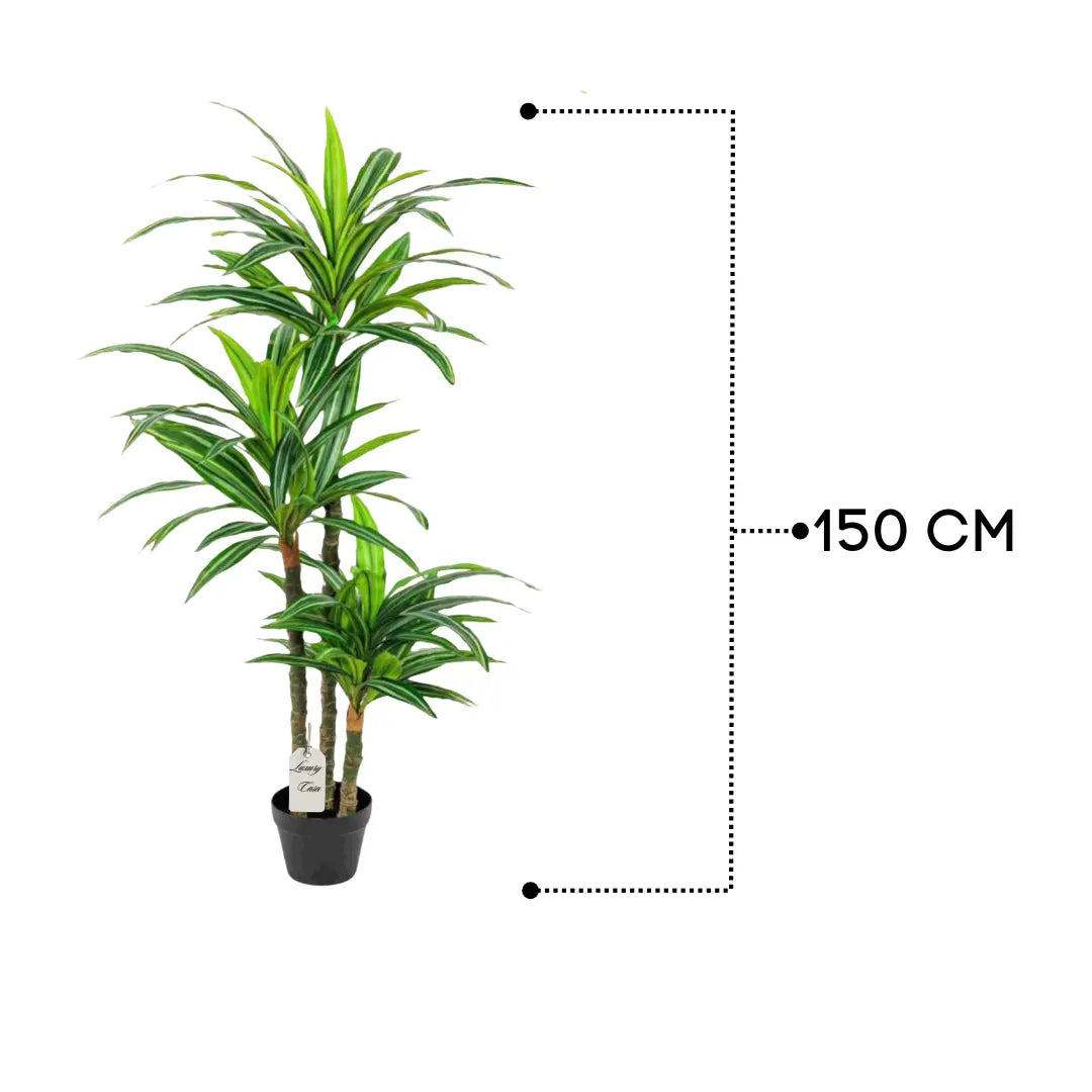Natural Dracaena Artificial Tree 150 cm Luxury Casa