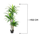 Natural Dracaena Artificial Tree 150 cm Luxury Casa