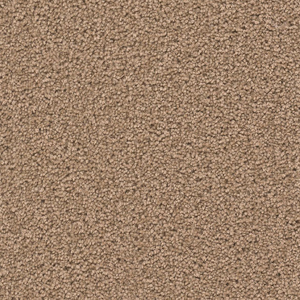 Blockbuster Plus Carpet Roll – AED 69 per m²
