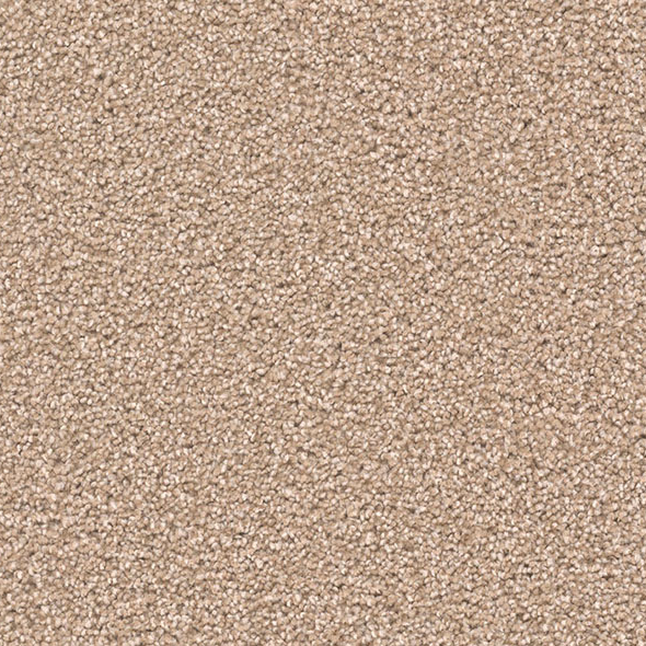 Blockbuster Plus Carpet Roll – AED 69 per m²