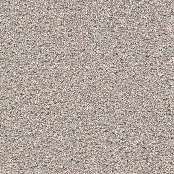 Blockbuster Plus Carpet Roll – AED 69 per m²