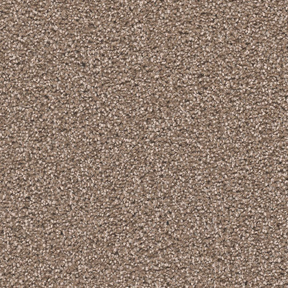 Blockbuster Plus Carpet Roll – AED 69 per m²