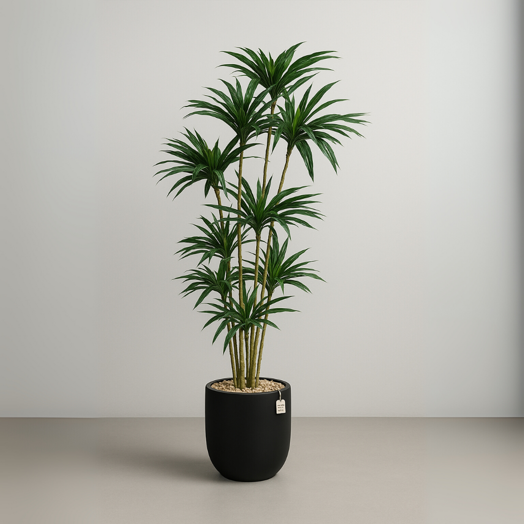 Artificial Dracaena Tree 150 cm Luxury Casa