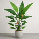 Artificial Banana Tree 180 Cm Luxury Casa