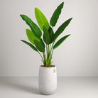Artificial Banana Tree 160 cm Luxury Casa