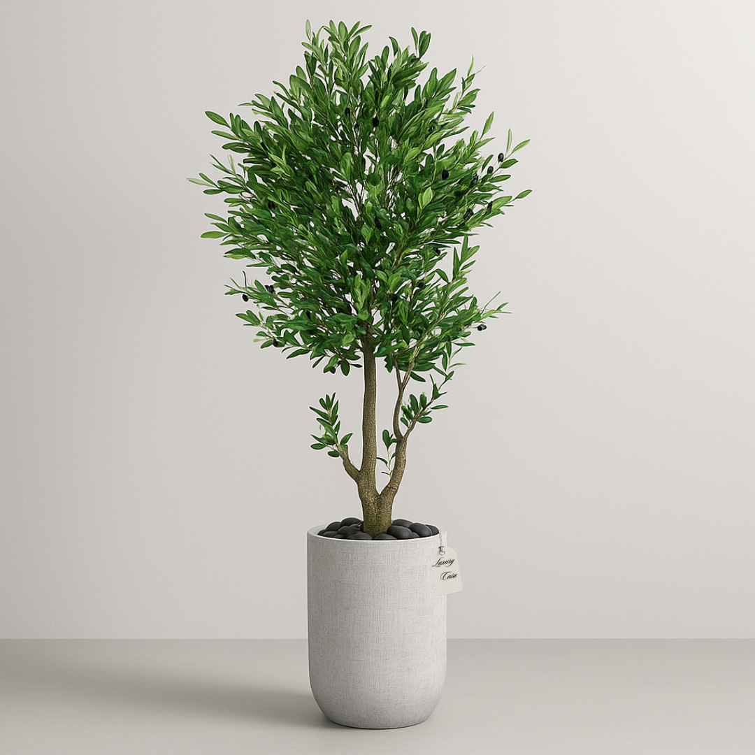 Olive-Trees Luxury Casa