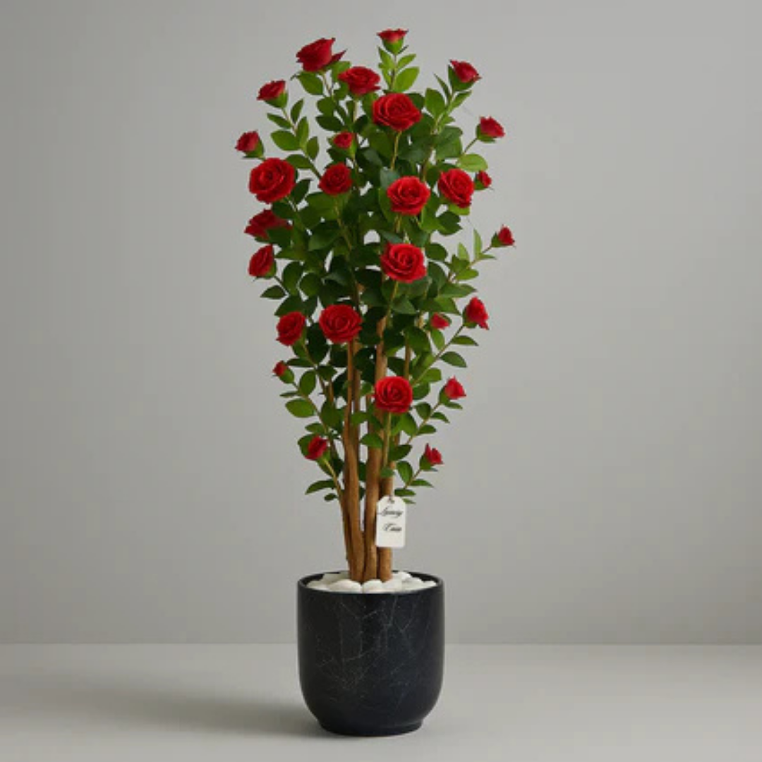 Rose-Trees Luxury Casa