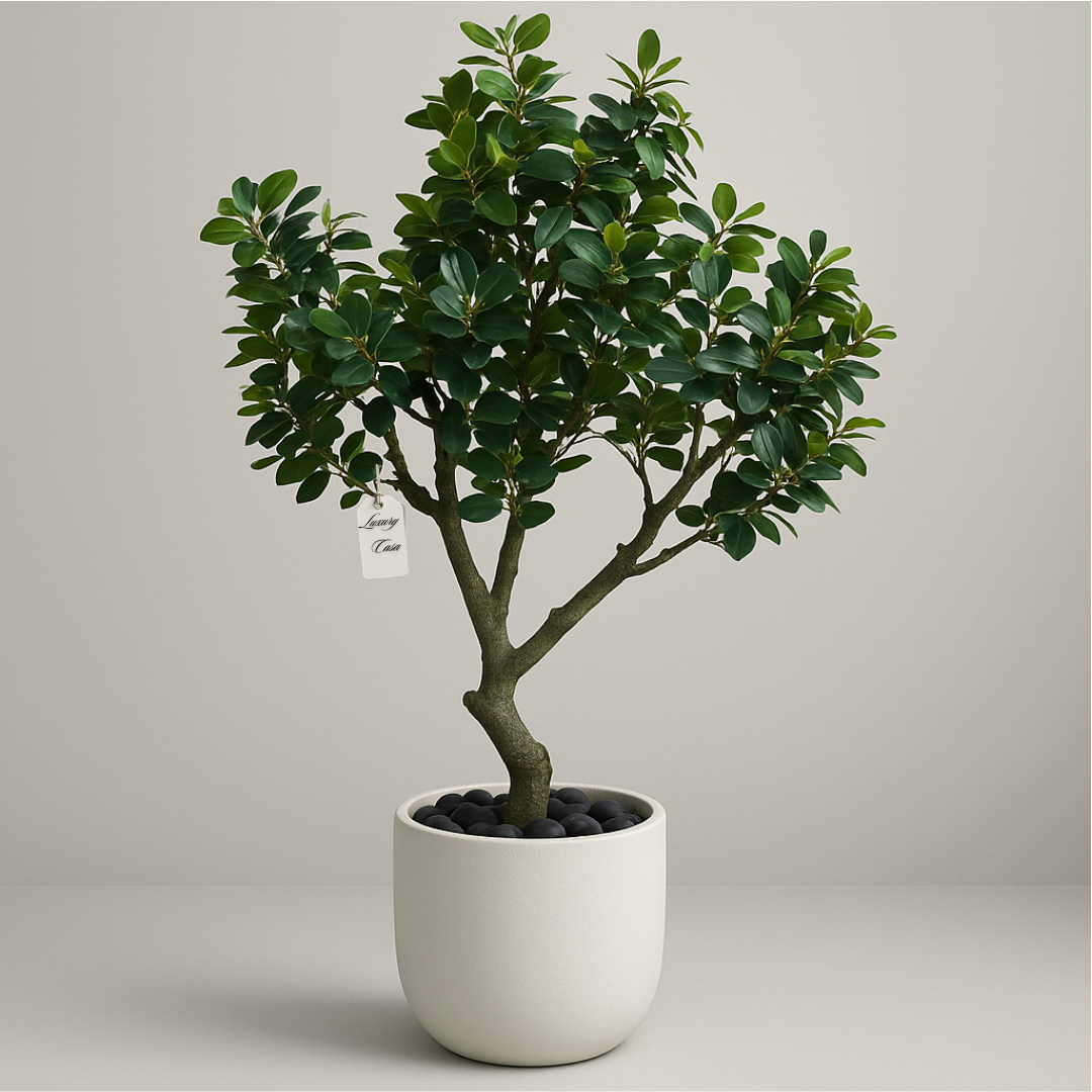 Eucalyptus-Trees Luxury Casa