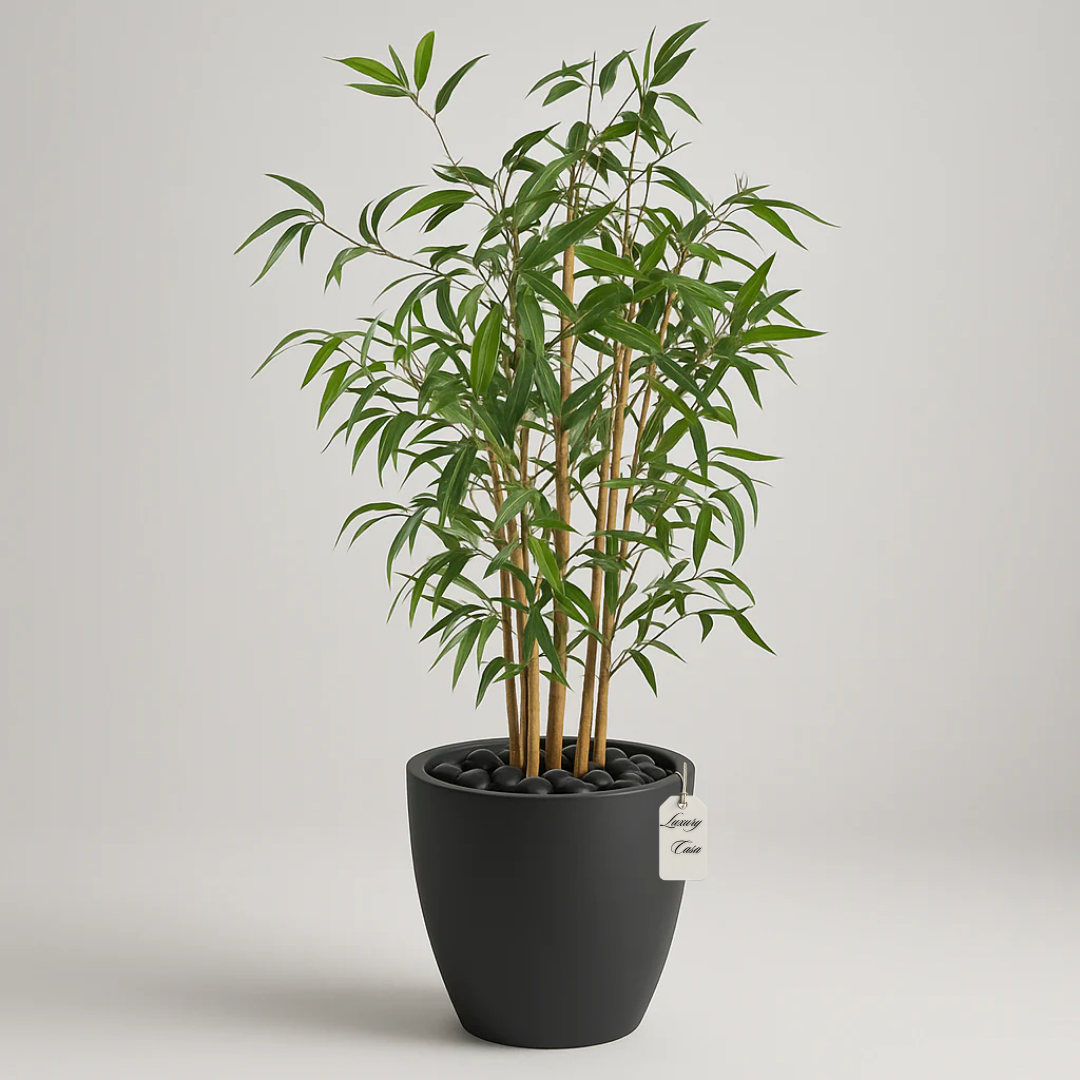 Bamboo-Trees Luxury Casa