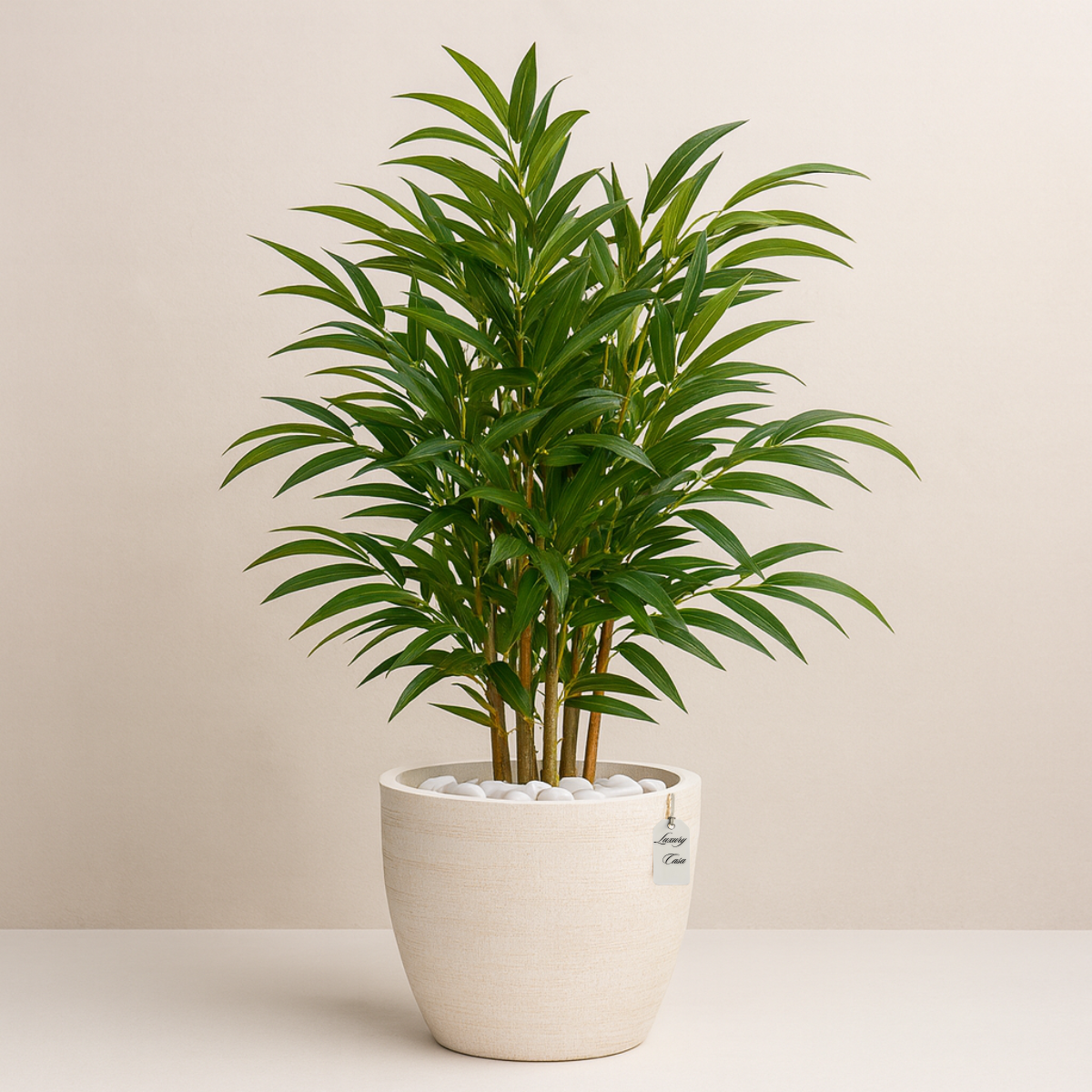 Bamboo Trees