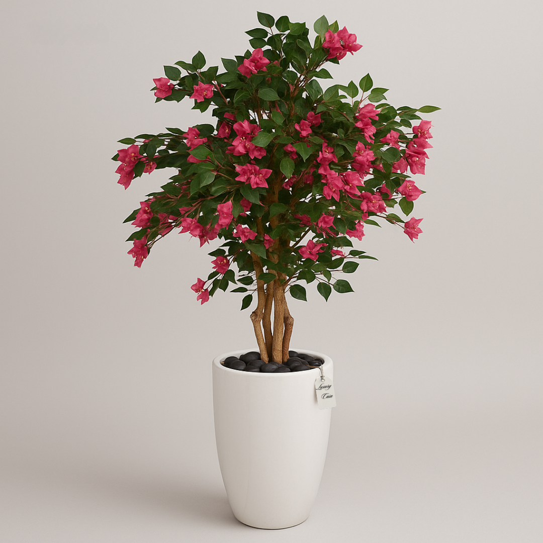 Bougainvillea-Trees Luxury Casa