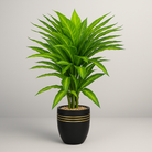 Artificial Dracaena Tree 150 cm Luxury Casa