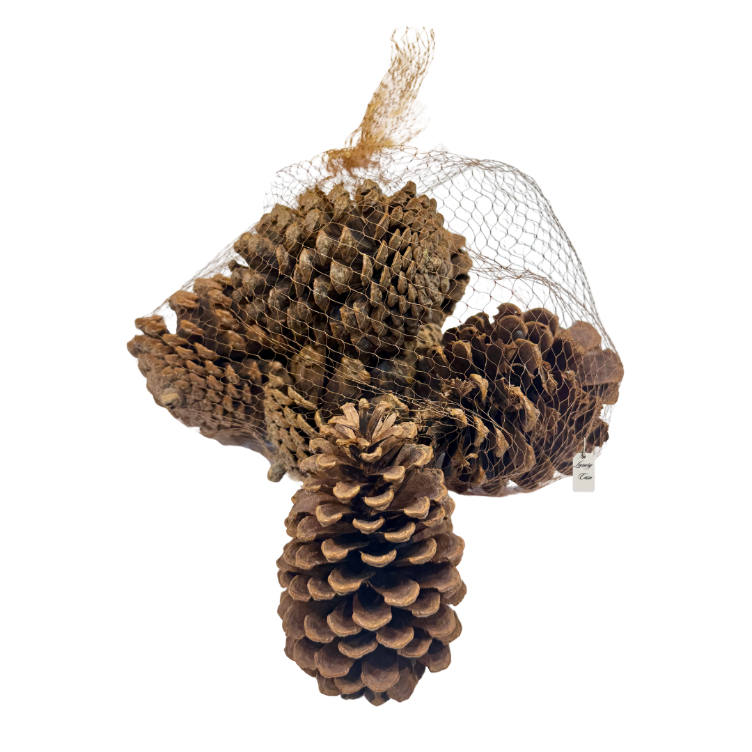 Natural Pine Cones Pack Luxury Casa