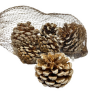 Frosted Pine Cones Pack Luxury Casa