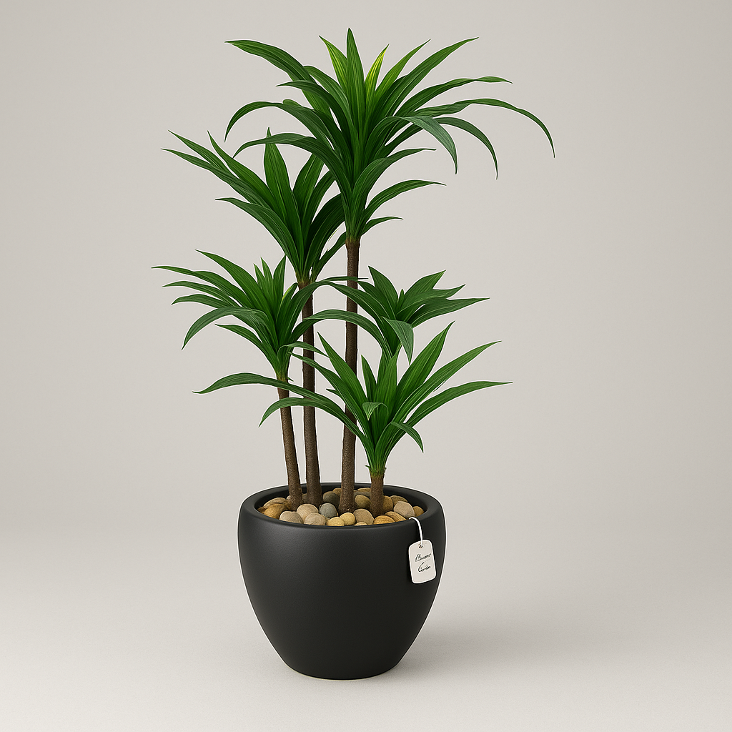 Artificial Dracaena Tree 60 cm Luxury Casa