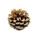 Frosted Pine Cones Pack Luxury Casa