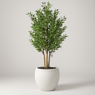 Artificial Olive Tree With Natural Wooden Trunk 180 cm Luxury Casa