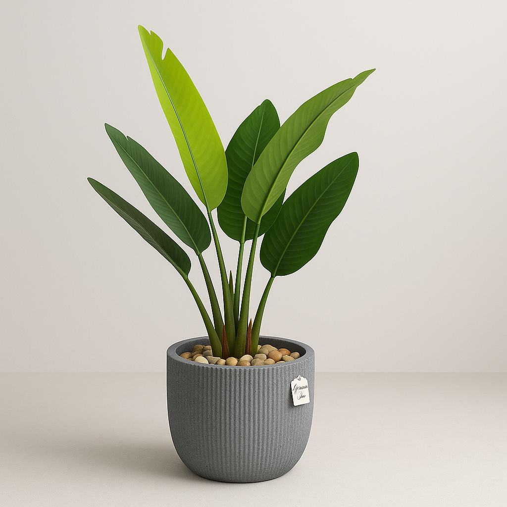 Artificial Banana Tree 90 Cm Luxury Casa