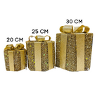 Golden LED Gift Box Set Luxury Casa
