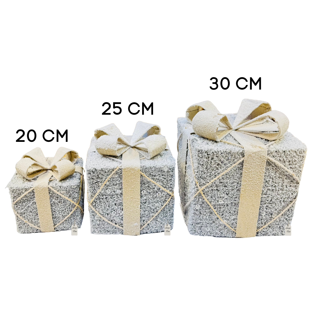 Frosted LED Gift Box Set Luxury Casa