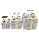 Frosted LED Gift Box Set Luxury Casa
