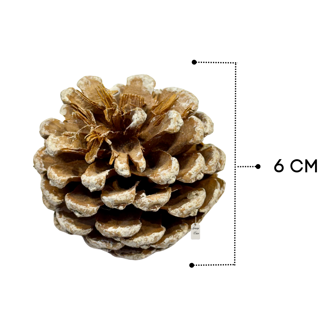 Frosted Pine Cones Pack Luxury Casa