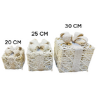 Snow Covered LED Gift Box Set Luxury Casa