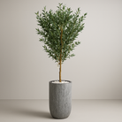 Artificial Olive Tree With Natural Wooden Trunk 210 cm Luxury Casa