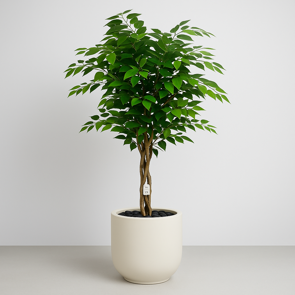 Artificial Ficus Tree With Natural Wooden Trunk 180 Cm Luxury Casa