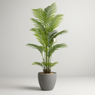 Artificial Palm Tree 180 cm Luxury Casa