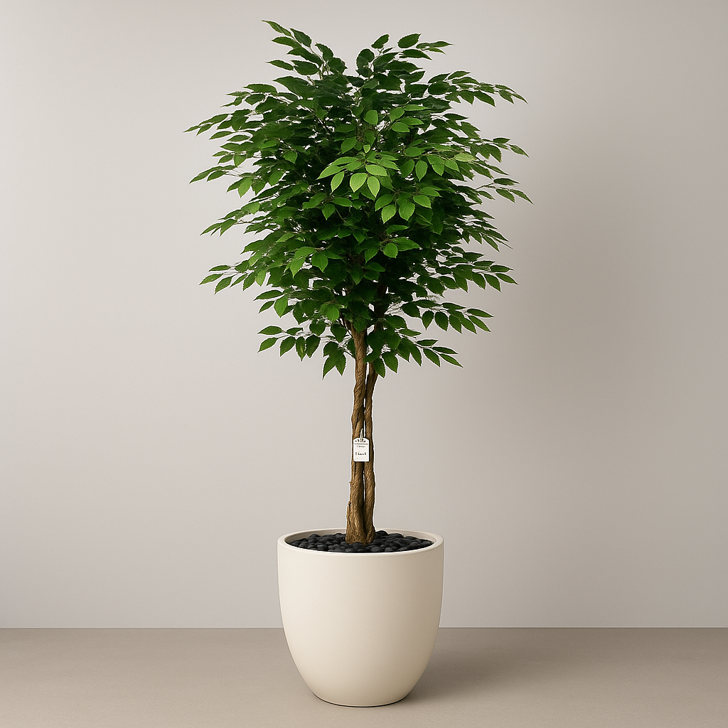 Artificial Ficus Tree With Natural Wooden Trunk 210 CM Luxury Casa