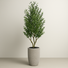 Artificial Olive Tree With Natural Wooden Trunk 180 cm Luxury Casa