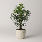 Artificial Palm Tree 115 cm Luxury Casa